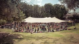פסטיבל היוגה הבינלאומי -Yoga Fest