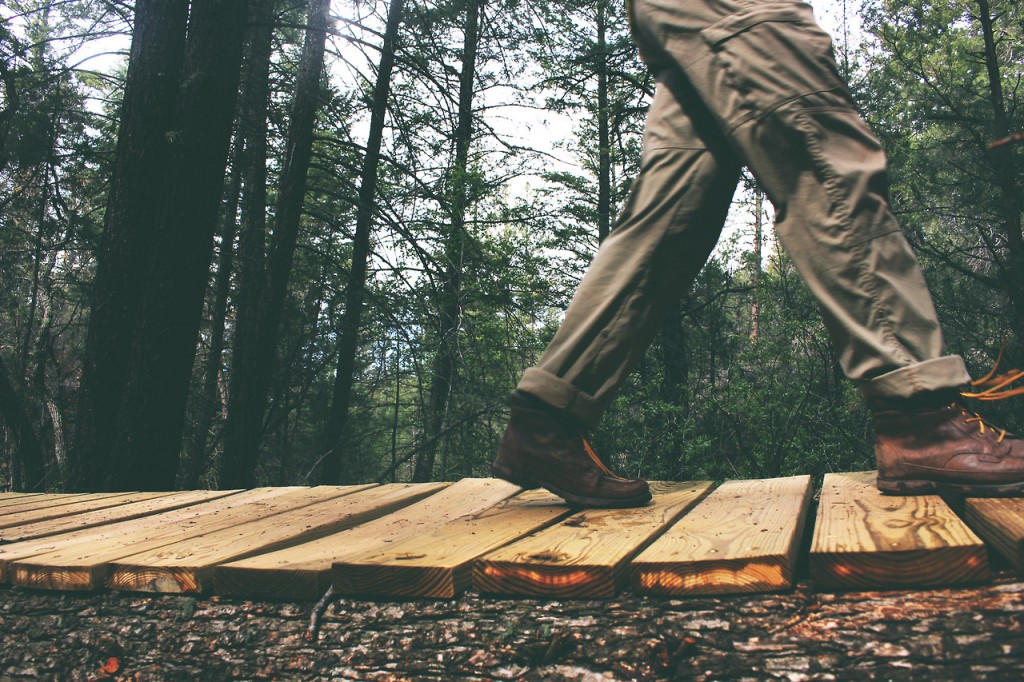 wood-nature-person-walking